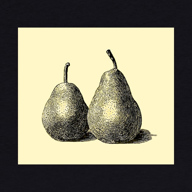 The Two Pears by PictureNZ